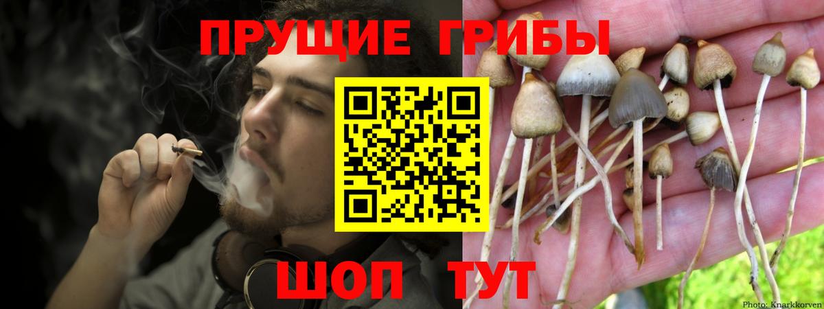 Псилоцибиновые грибы ЛСД  Галлюциногенные грибы мицелий  Волгодонск  Вход с VPN 